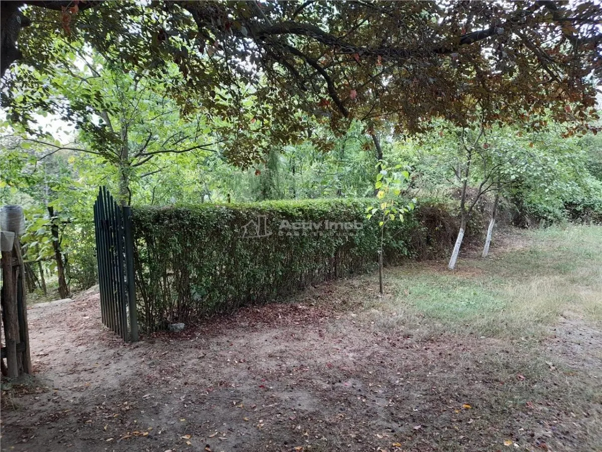 Resita, 5 561 m² Terrain Intravilan en Route Principale, 10€/m² - foto 2