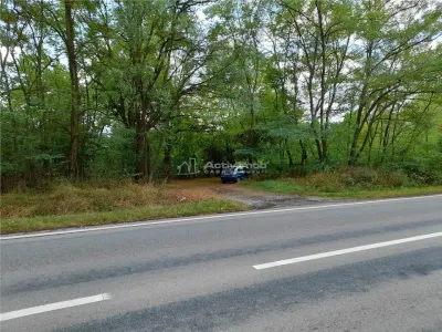 Resita, 5 561 m² Terrain Intravilan en Route Principale, 10€/m² - foto 4