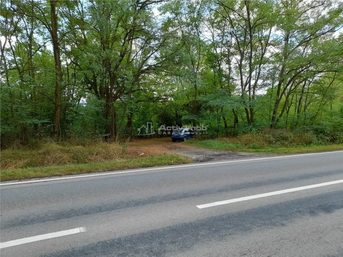 Resita, 5 561 m² Terrain Intravilan en Route Principale, 10€/m² - foto 4