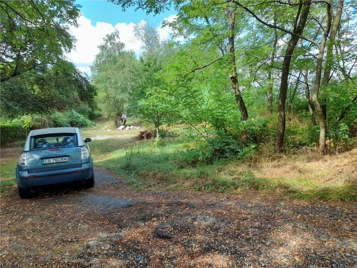 Resita, 5 561 m² Terrain Intravilan en Route Principale, 10€/m² - foto 5