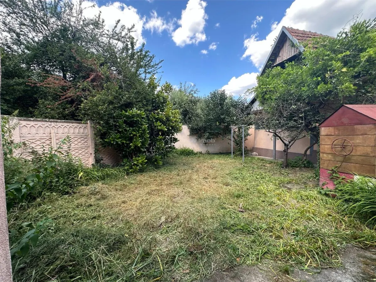 Bocsa Montana: Two Houses at the Price of One, Main Road Frontage - foto 16