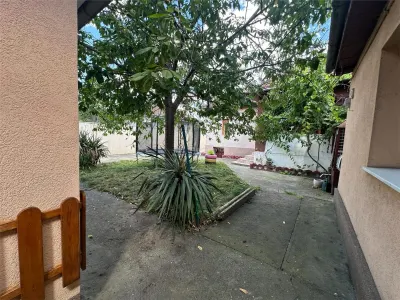 Bocsa Montana: Two Houses at the Price of One, Main Road Frontage - foto 20