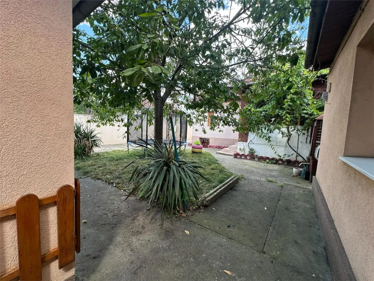 Bocsa Montana: Two Houses at the Price of One, Main Road Frontage - foto 20