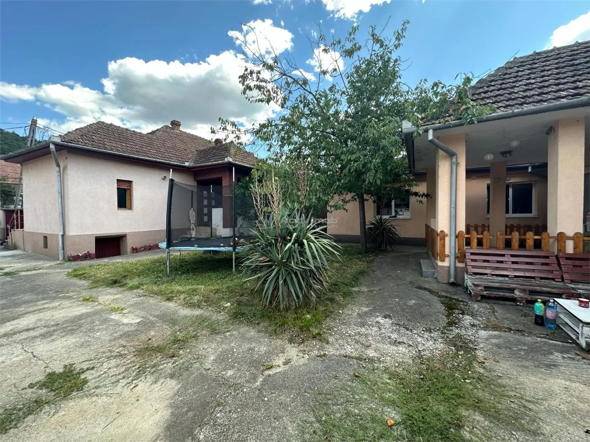 Bocsa Montana: Two Houses at the Price of One, Main Road Frontage - foto 3