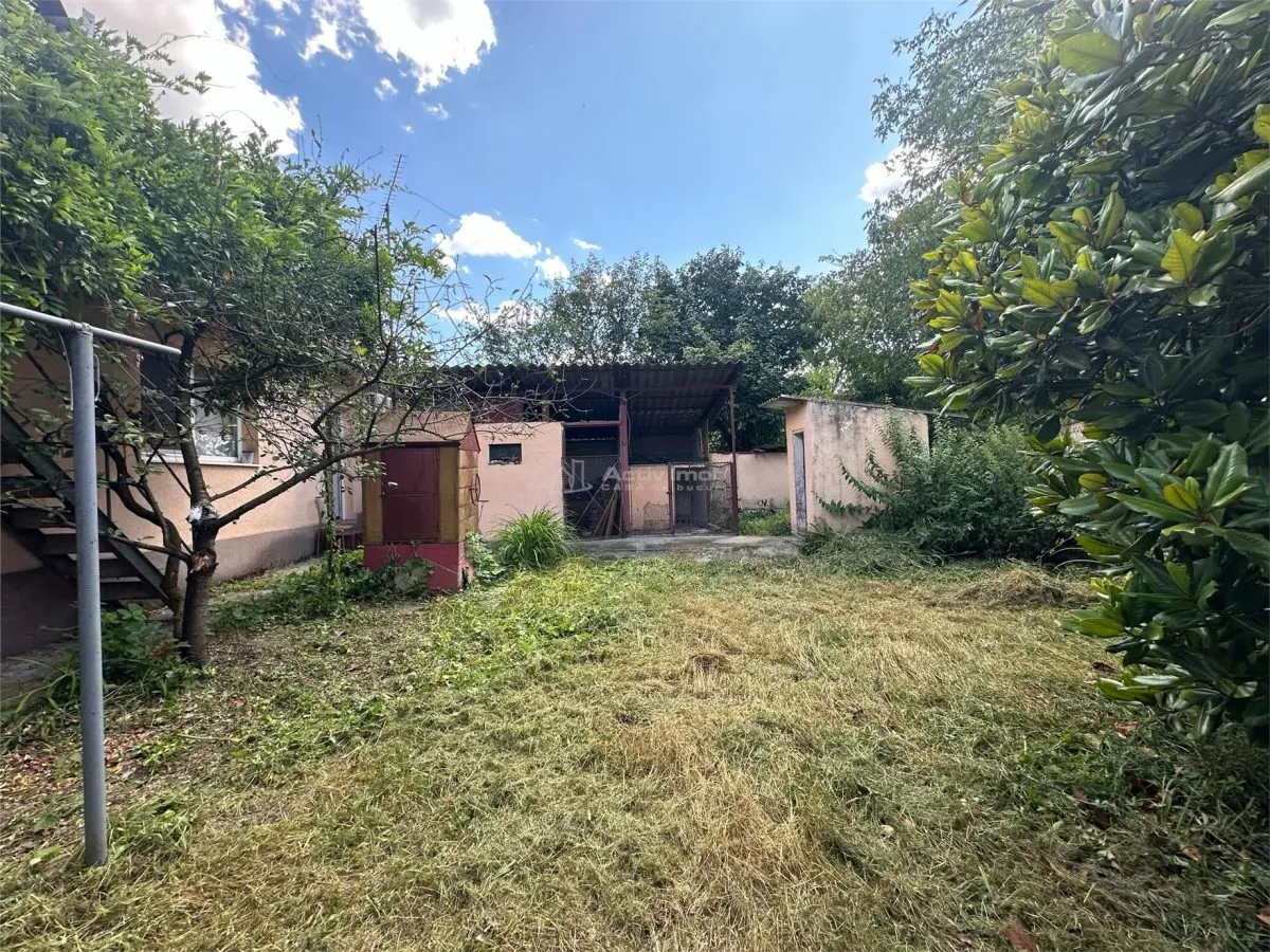Bocsa Montana: Two Houses at the Price of One, Main Road Frontage - foto 21