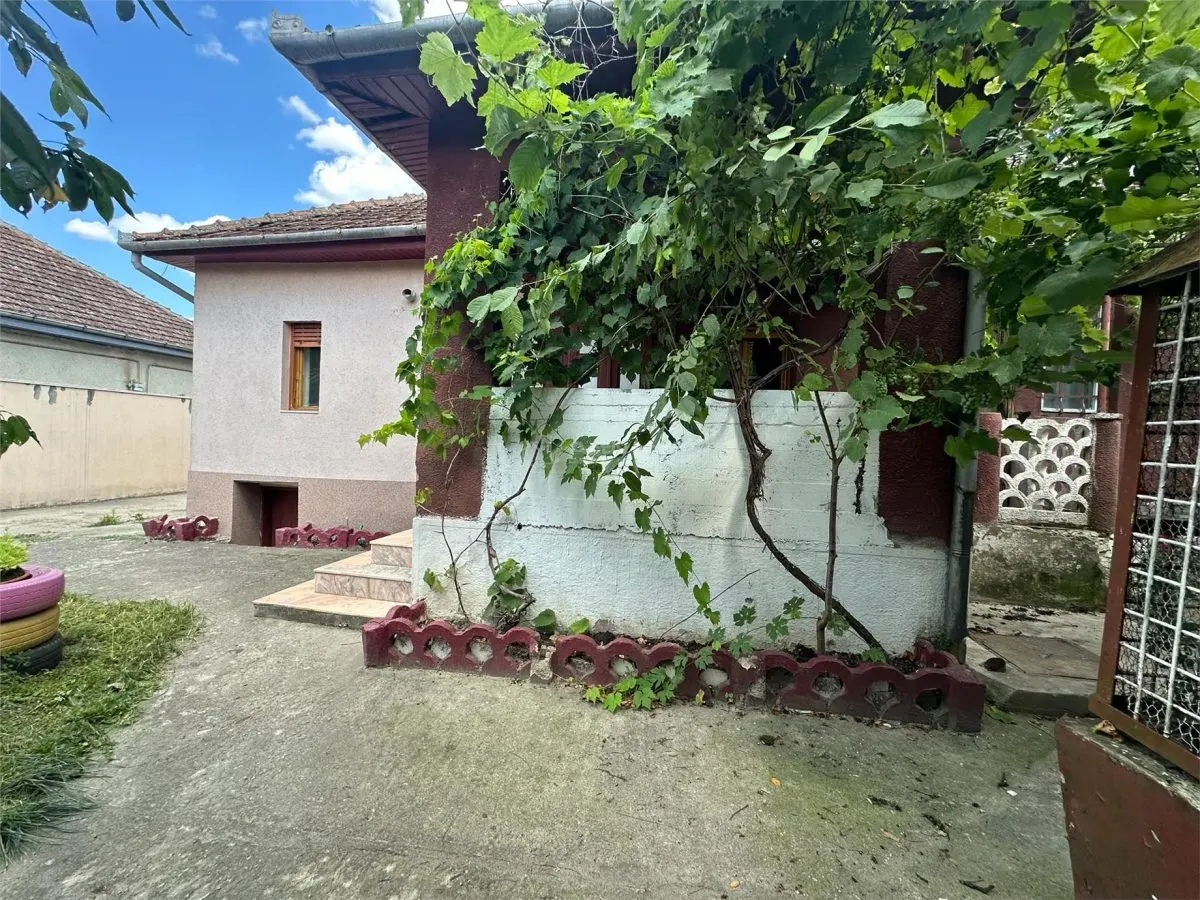 Bocsa Montana: Two Houses at the Price of One, Main Road Frontage - foto 25