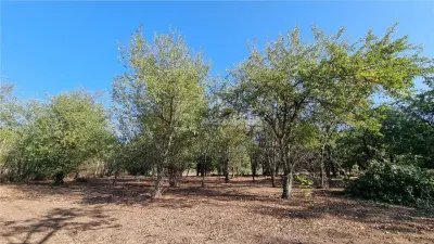 建筑用地 1,800 平方米，20 米宽，特莱奥曼县 - foto 9