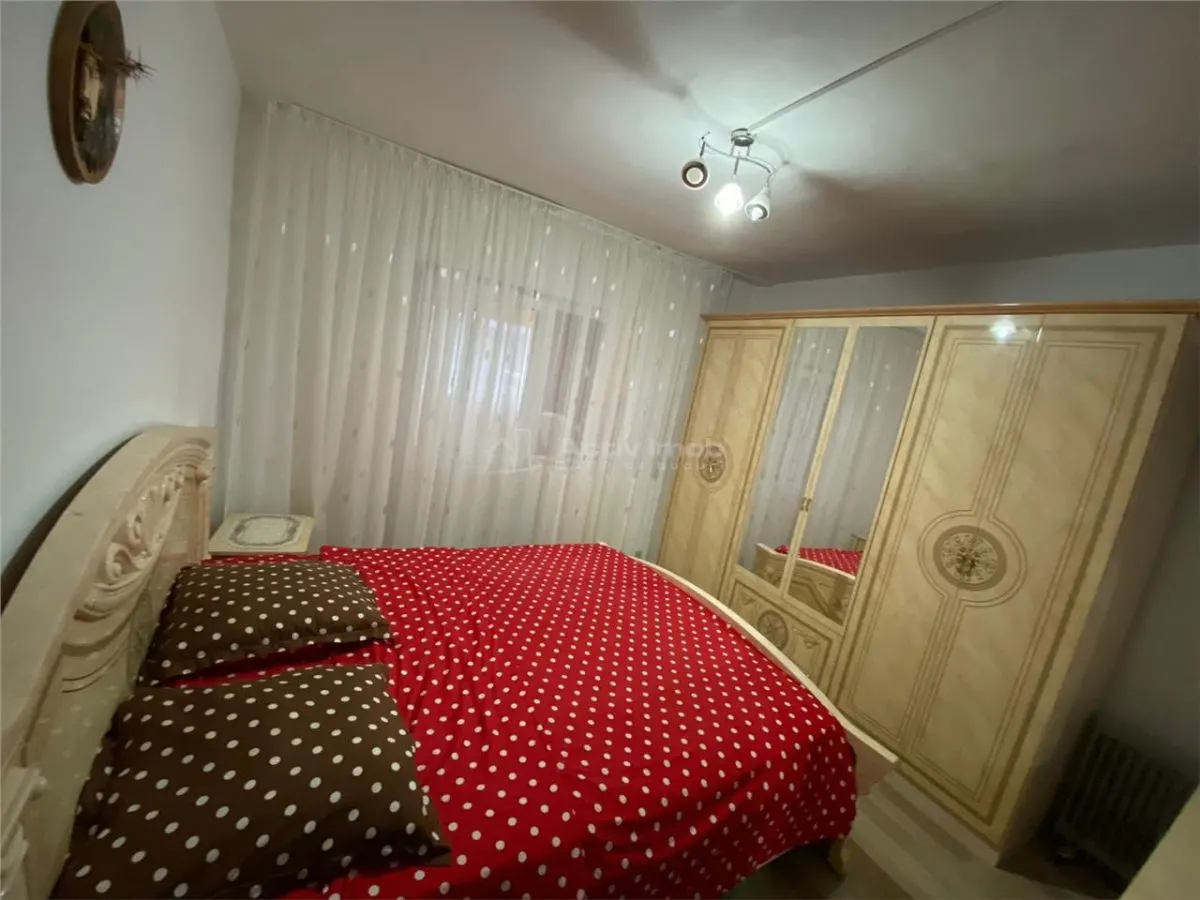 Caransebes, Apartamento 2 Dormitorios, 2 Balcones, Amueblado y Equipado, Balta Sarata - foto 3