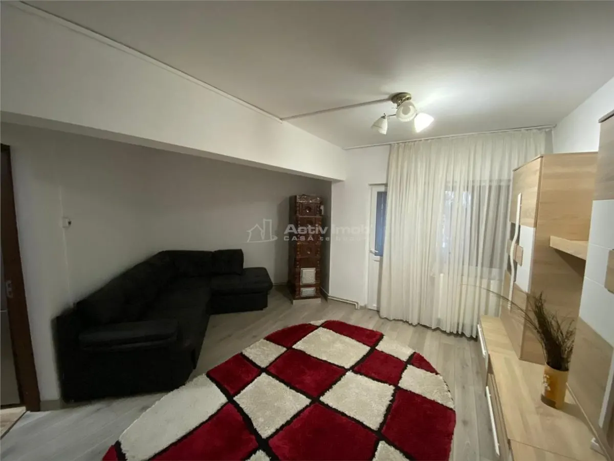 Caransebes, Apartamento 2 Dormitorios, 2 Balcones, Amueblado y Equipado, Balta Sarata - foto 4