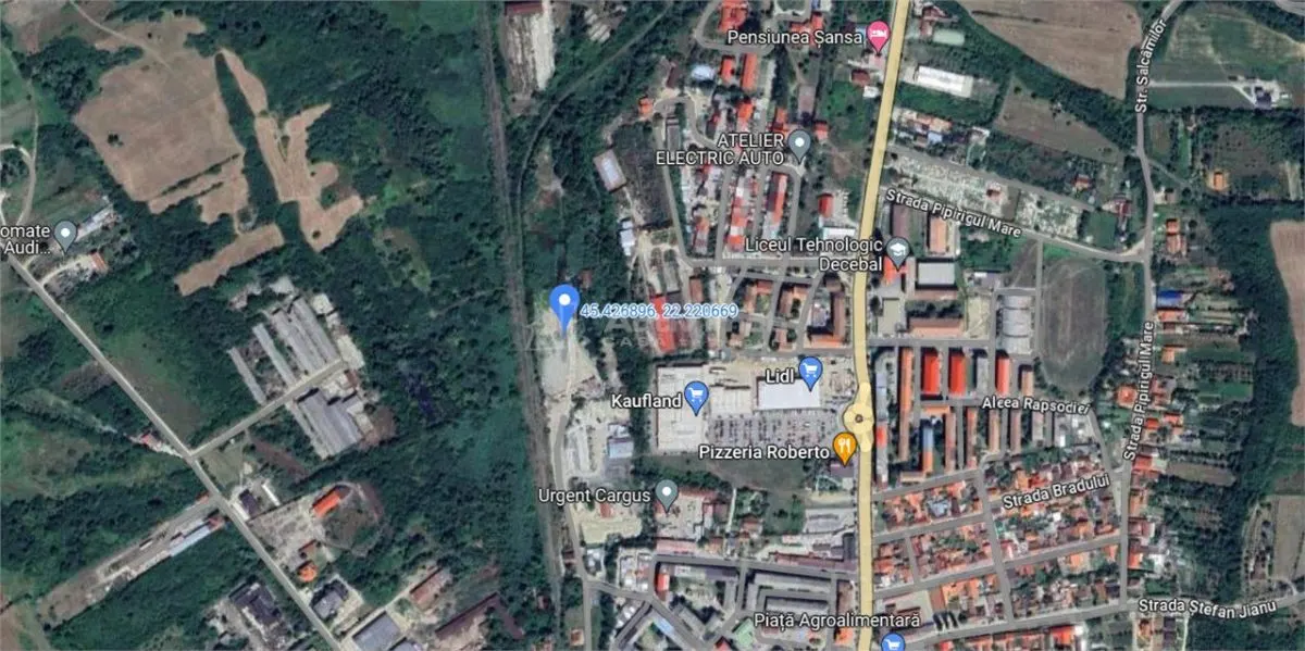 Caransebes, Terrain Viabilisé pour Construction 15,000 m² - foto 5