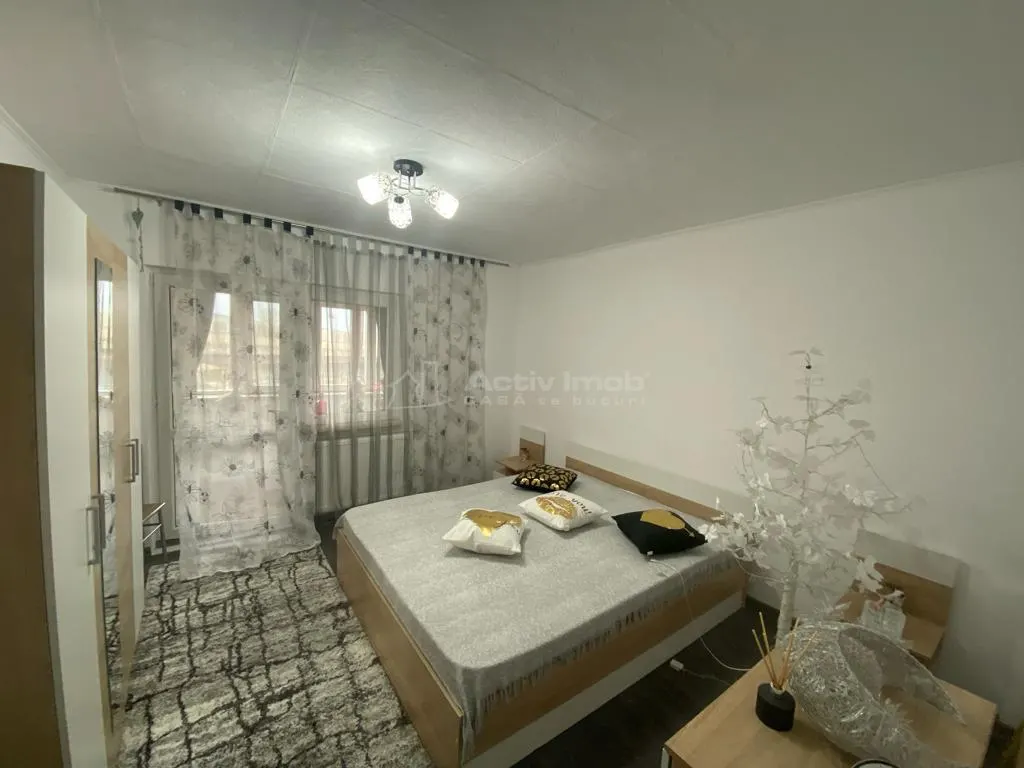 Caransebes, Apartamento 2 Dormitorios, Amueblado, 2ª Planta, Balta Sarata - foto 16