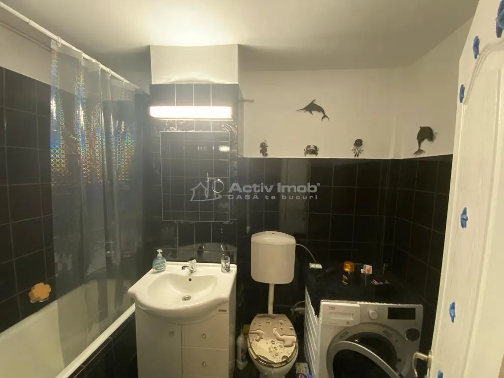 Caransebes, Apartamento 2 Dormitorios, Amueblado, 2ª Planta, Balta Sarata - foto 10