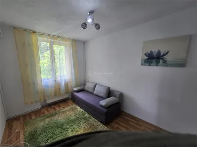 Apartment with 2 bedrooms for sale 45 sqm in Resita, Moroasa 1 area - foto 3