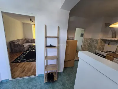 Apartment with 2 bedrooms for sale 45 sqm in Resita, Moroasa 1 area - foto 7