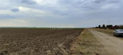 114 000 sqm Terrain Industriel, Parc Ploiești West - foto 7