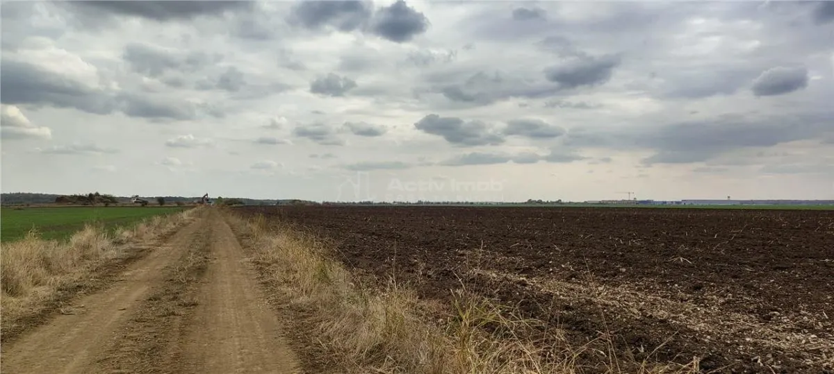 114 000 sqm Terrain Industriel, Parc Ploiești West - foto 8