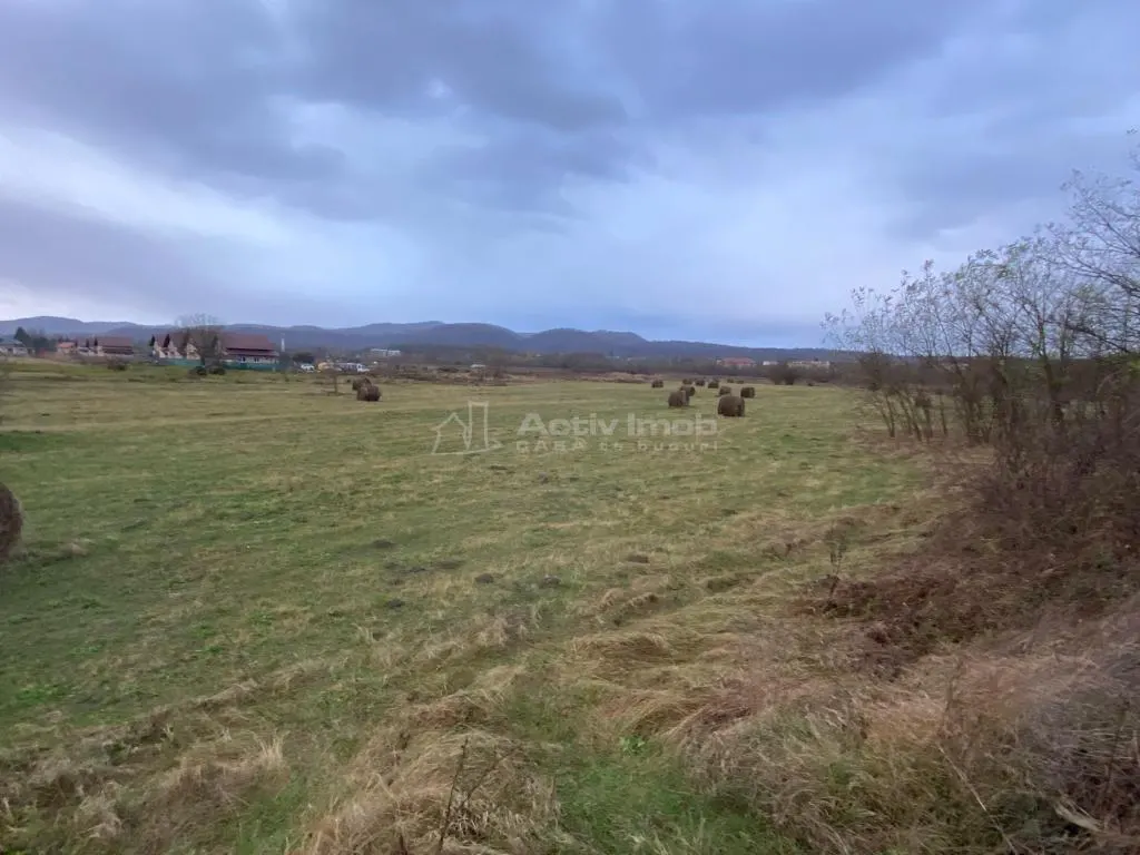 Caransebes, Terrain 5.087 m² – Idéal pour Construction Résidentielle - foto 2