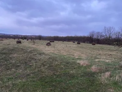 Caransebes, Terrain 5.087 m² – Idéal pour Construction Résidentielle - foto 11