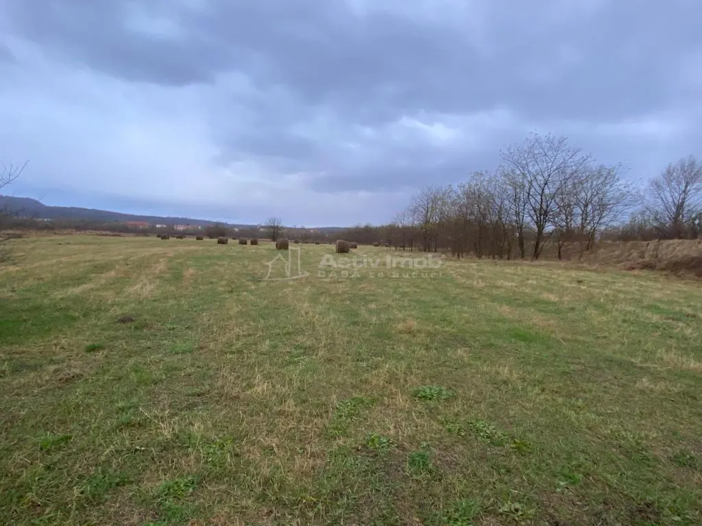 Caransebes, Terrain 5.087 m² – Idéal pour Construction Résidentielle - foto 3