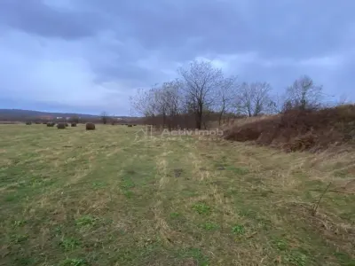 Caransebes, Terrain 5.087 m² – Idéal pour Construction Résidentielle - foto 4