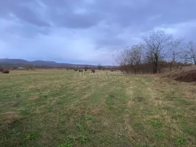 Caransebes, Terrain 5.087 m² – Idéal pour Construction Résidentielle - foto 5