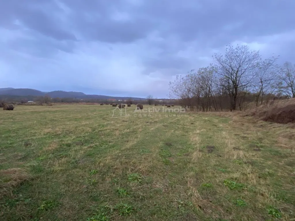 Caransebes, Terrain 5.087 m² – Idéal pour Construction Résidentielle - foto 5