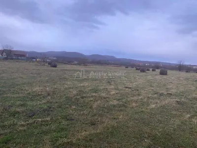 Caransebes, Terrain 5.087 m² – Idéal pour Construction Résidentielle - foto 6