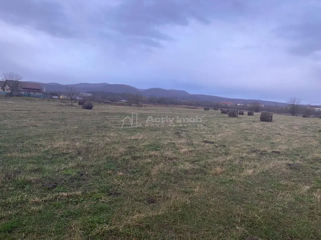 Caransebes, Terrain 5.087 m² – Idéal pour Construction Résidentielle - foto 6