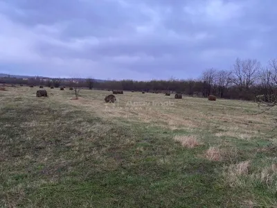 Caransebes, Terrain 5.087 m² – Idéal pour Construction Résidentielle - foto 7
