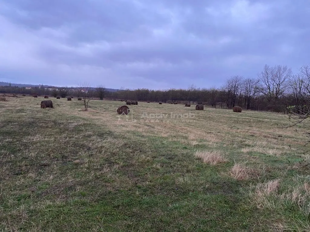 Caransebes, Terrain 5.087 m² – Idéal pour Construction Résidentielle - foto 7