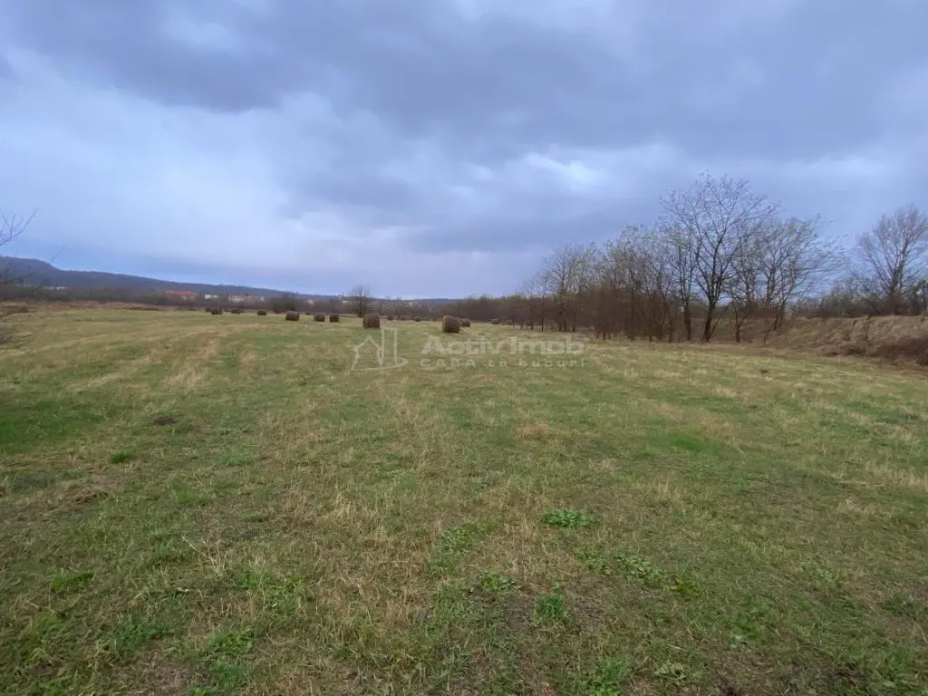 Caransebes, Terrain 5.087 m² – Idéal pour Construction Résidentielle - foto 10