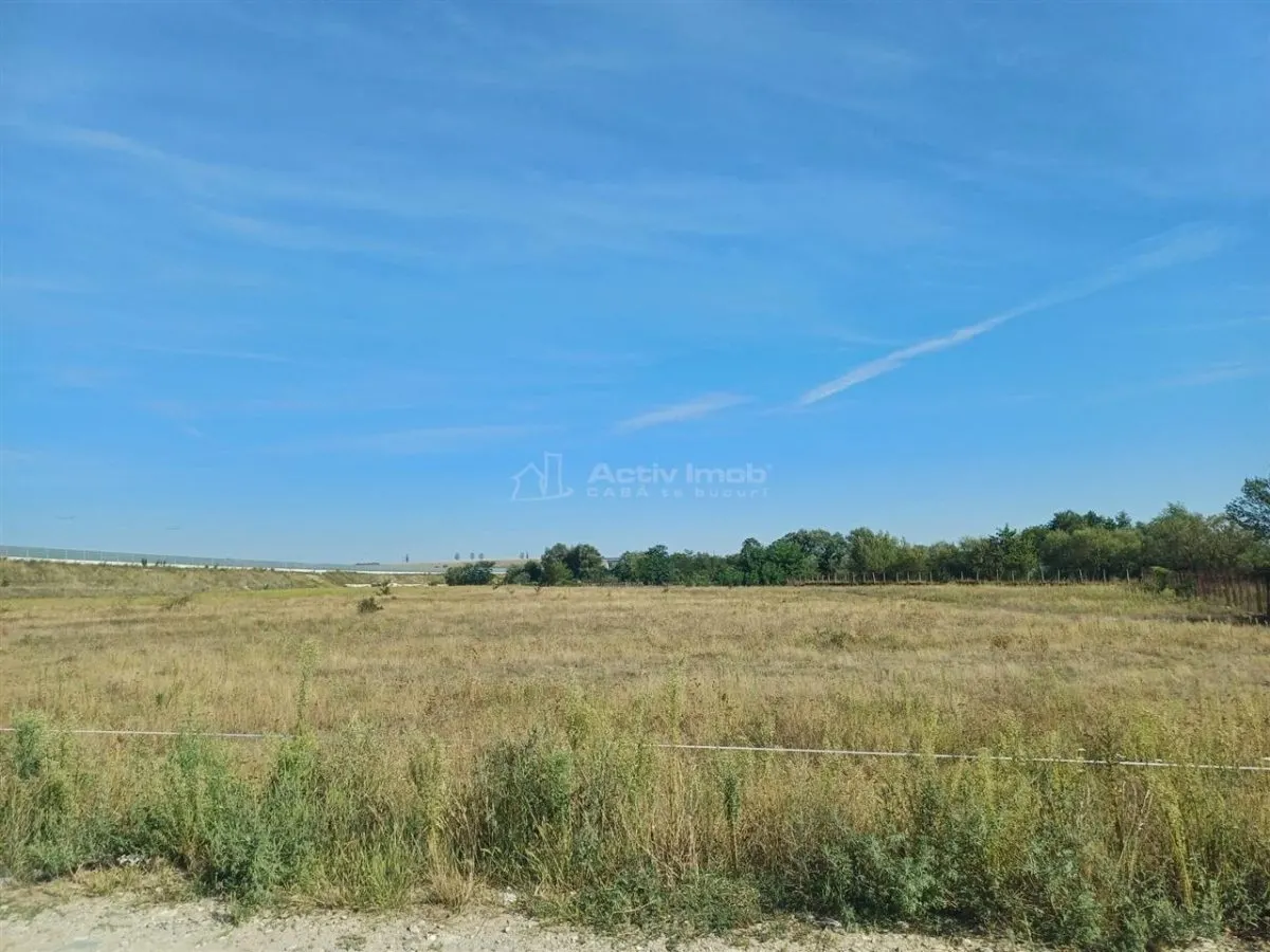 Teren intravilan de vanzare 9000 mp zona intre iazuri Talmaciu - foto 2