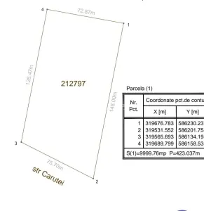 Terrain 10 000 m² Giurgiului Tiparnitei - foto 2
