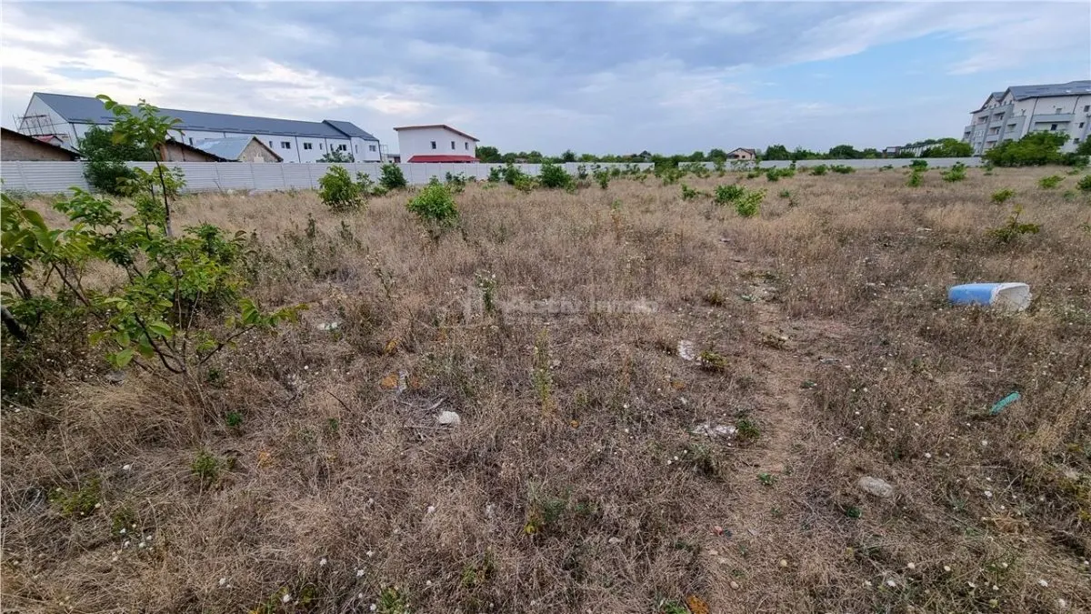 Terrain 10 000 m² Giurgiului Tiparnitei - foto 3