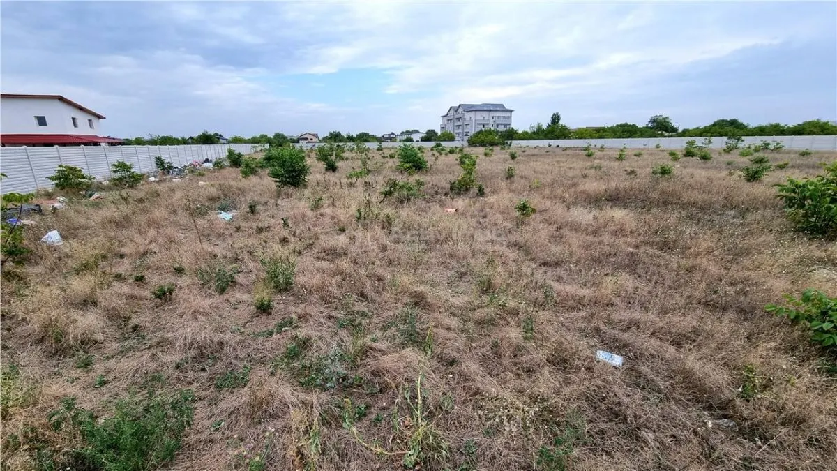Terrain 10 000 m² Giurgiului Tiparnitei - foto 4