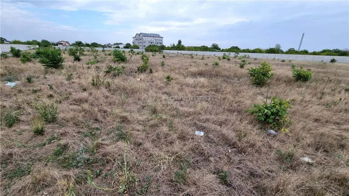 Terrain 10 000 m² Giurgiului Tiparnitei - foto 5