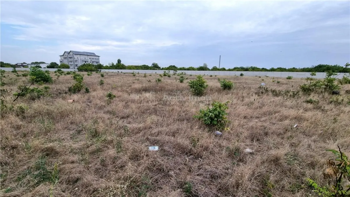 Terrain 10 000 m² Giurgiului Tiparnitei - foto 6