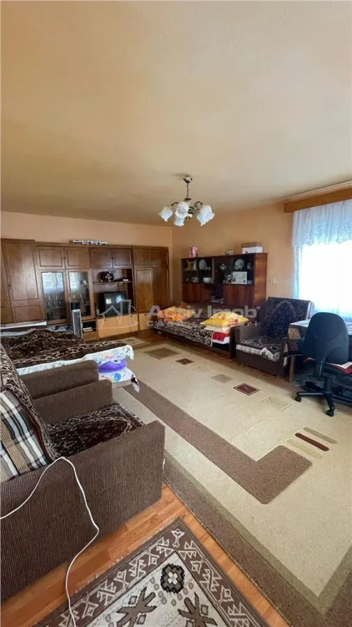 Villa – 9 Chambres – Station Thermale Geoagiu Bai - foto 9
