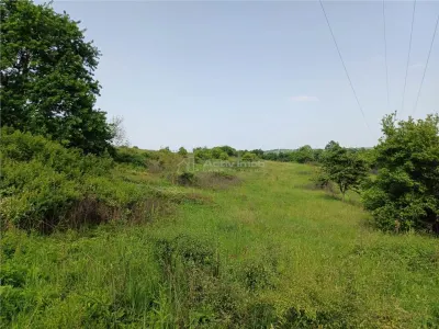 Resita, Terrain à Bâtir, 11.510 m², 4 €/m², Valea Terovei - foto 2