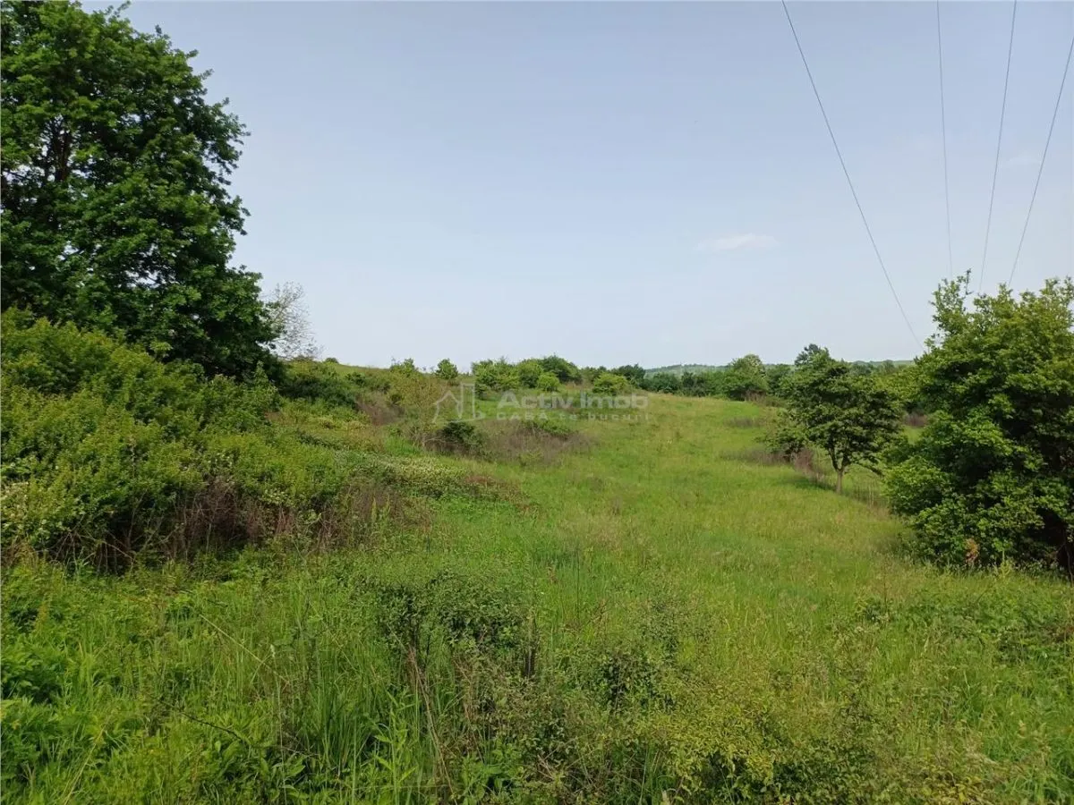 Resita, Terrain à Bâtir, 11.510 m², 4 €/m², Valea Terovei - foto 2