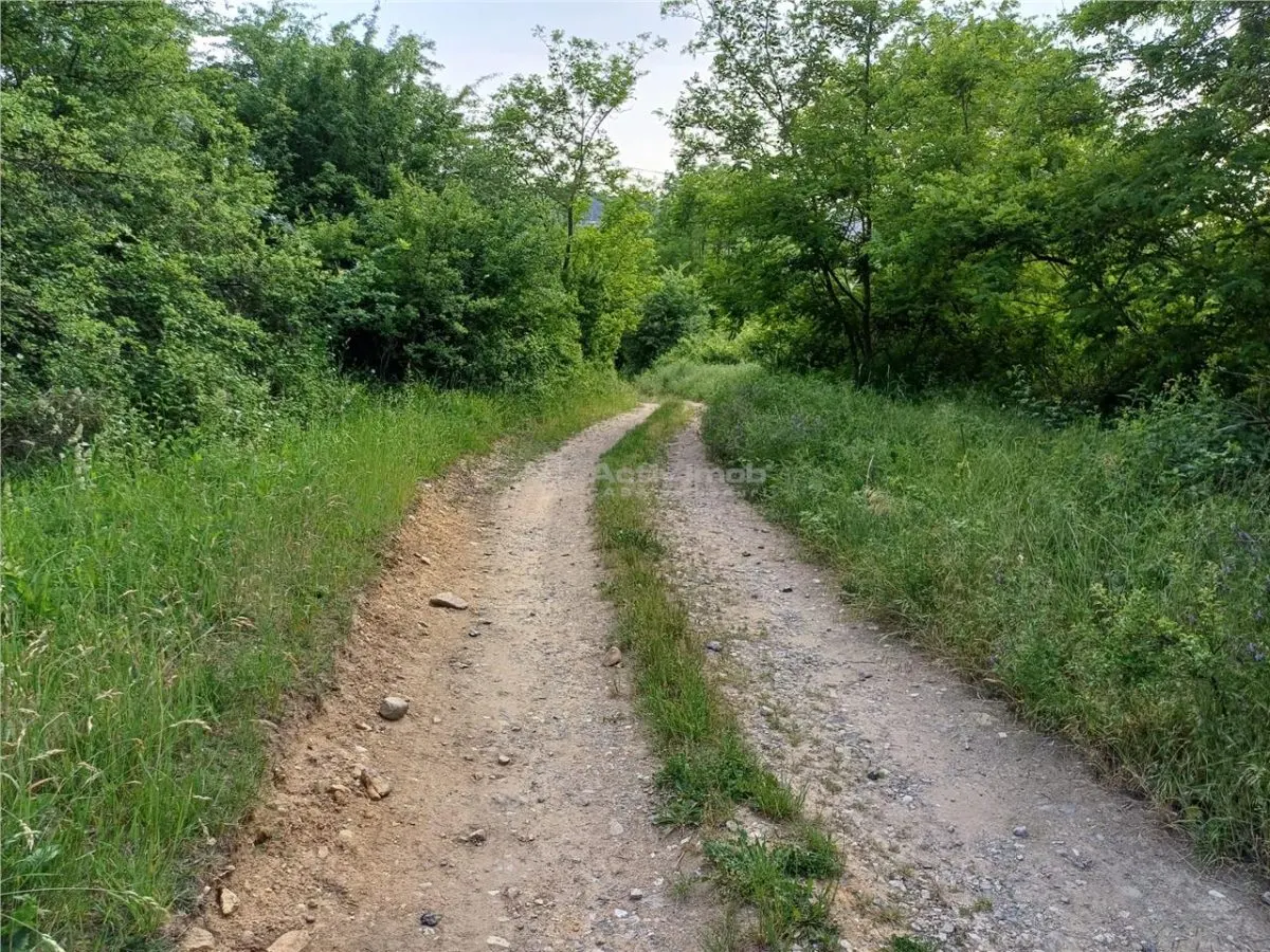 Resita, Terrain à Bâtir, 11.510 m², 4 €/m², Valea Terovei - foto 12