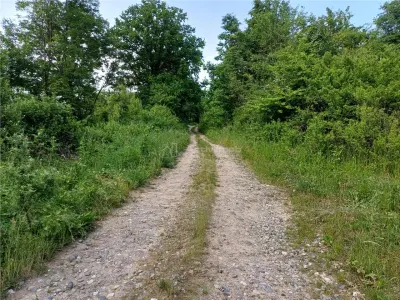 Resita, Terrain à Bâtir, 11.510 m², 4 €/m², Valea Terovei - foto 13