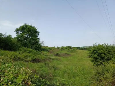 Resita, Terrain à Bâtir, 11.510 m², 4 €/m², Valea Terovei - foto 3