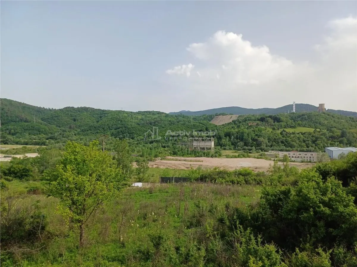 Resita, Terrain à Bâtir, 11.510 m², 4 €/m², Valea Terovei - foto 6