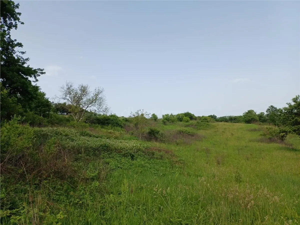 Resita, Terrain à Bâtir, 11.510 m², 4 €/m², Valea Terovei - foto 9