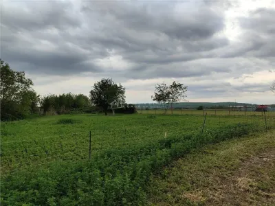 Parcela Residencial, 1.600 m² – Lipanesti, 800m del Ayuntamiento - foto 4