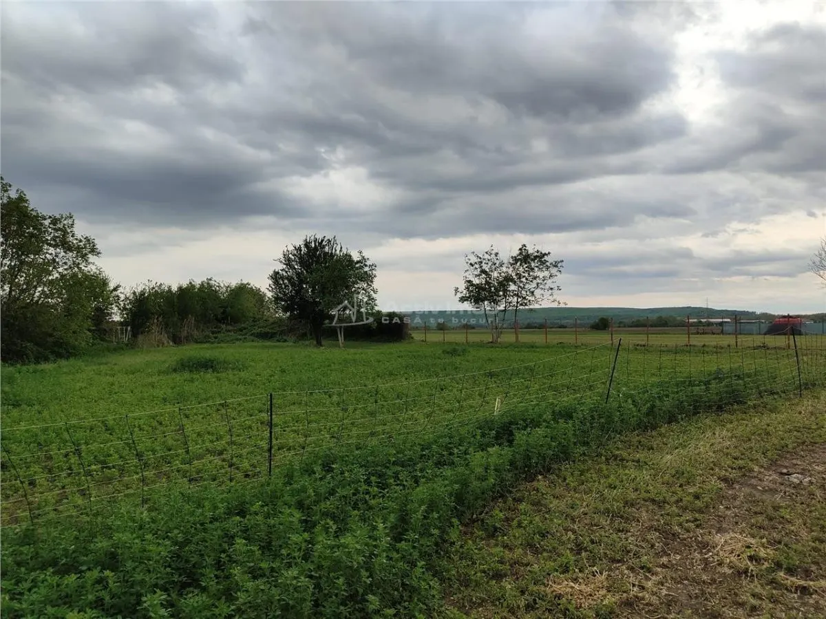 Parcela Residencial, 1.600 m² – Lipanesti, 800m del Ayuntamiento - foto 4