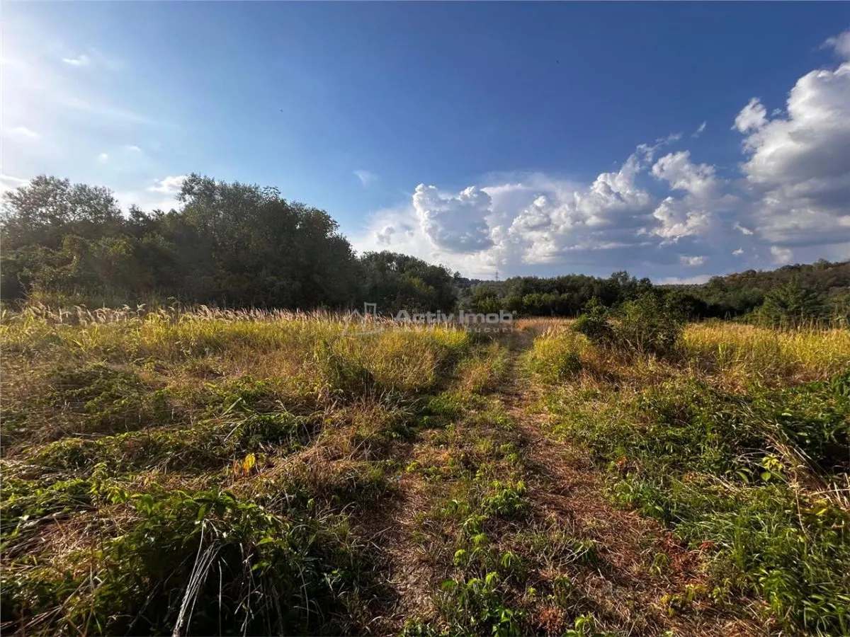 Terreno Bocsa 9.400 m² - Propiedad Libre - foto 2