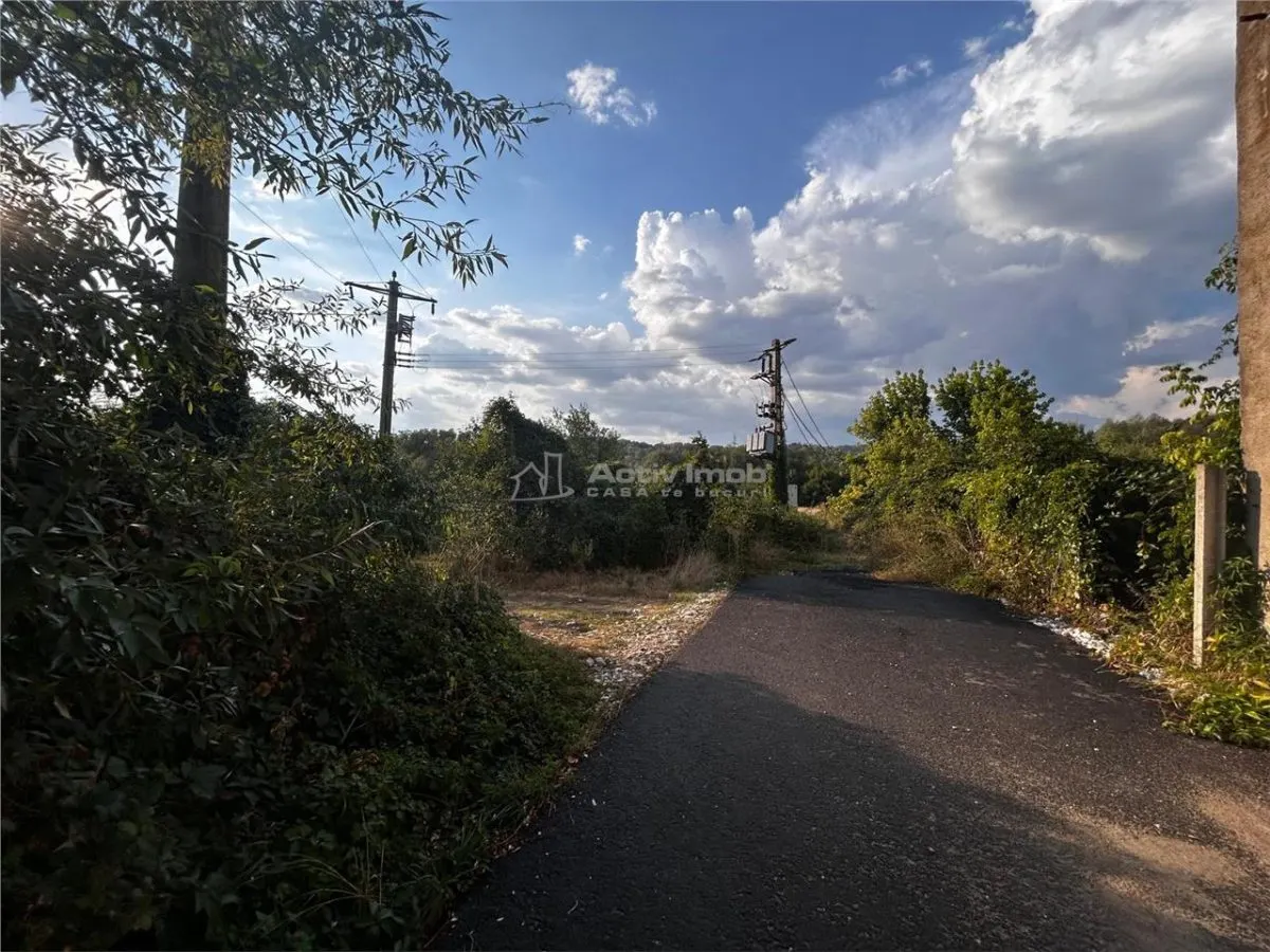 Terreno Bocsa 9.400 m² - Propiedad Libre - foto 4