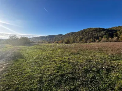 Terrain à Bocsa 2754 m² - foto 4
